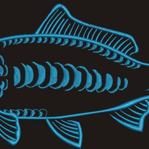 mirror carp common carp Cyprinus carpio CARP fish Machine Embroidery Design instant download image 4