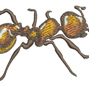 Broderie moderne réaliste de fourmis, insectes, motifs de broderie Motifs de broderie machine et haute qualité .ai .svg .psd .jpg