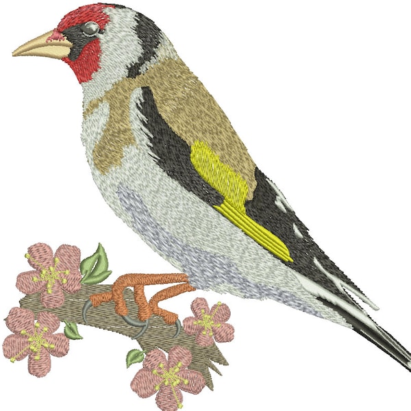 Black_headed goldfinch bird sitting on a sakura branch Machine Embroidery Design tested
