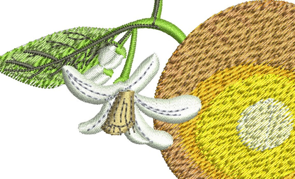 Orange embroidery machine embroidery design  etsy