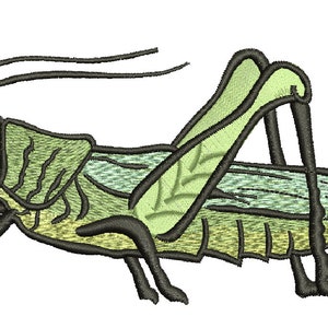 realistic grasshopper Machine Embroidery Designs INSTANT DOWNLOAD