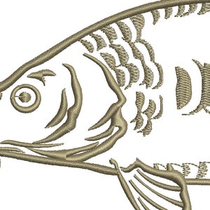 mirror carp common carp Cyprinus carpio CARP fish Machine Embroidery Design instant download image 2