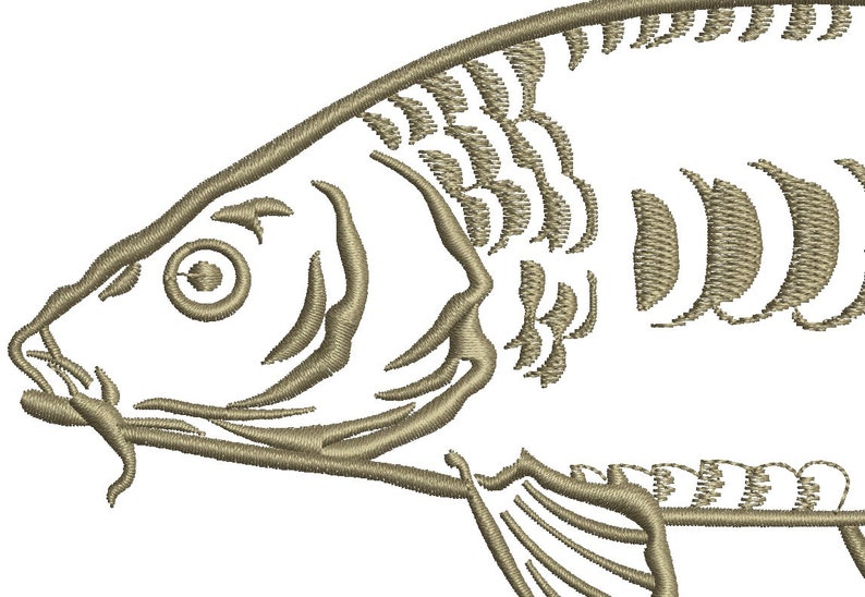 mirror carp common carp Cyprinus carpio CARP fish Machine Embroidery Design instant download image 2