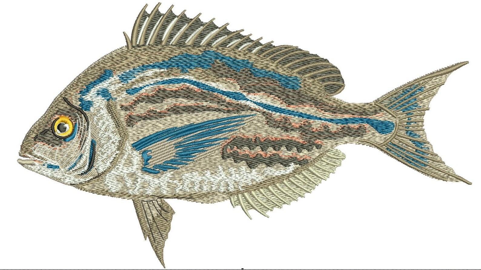 Fish Scup Embroidery Design Instant Download Digital File Etsy