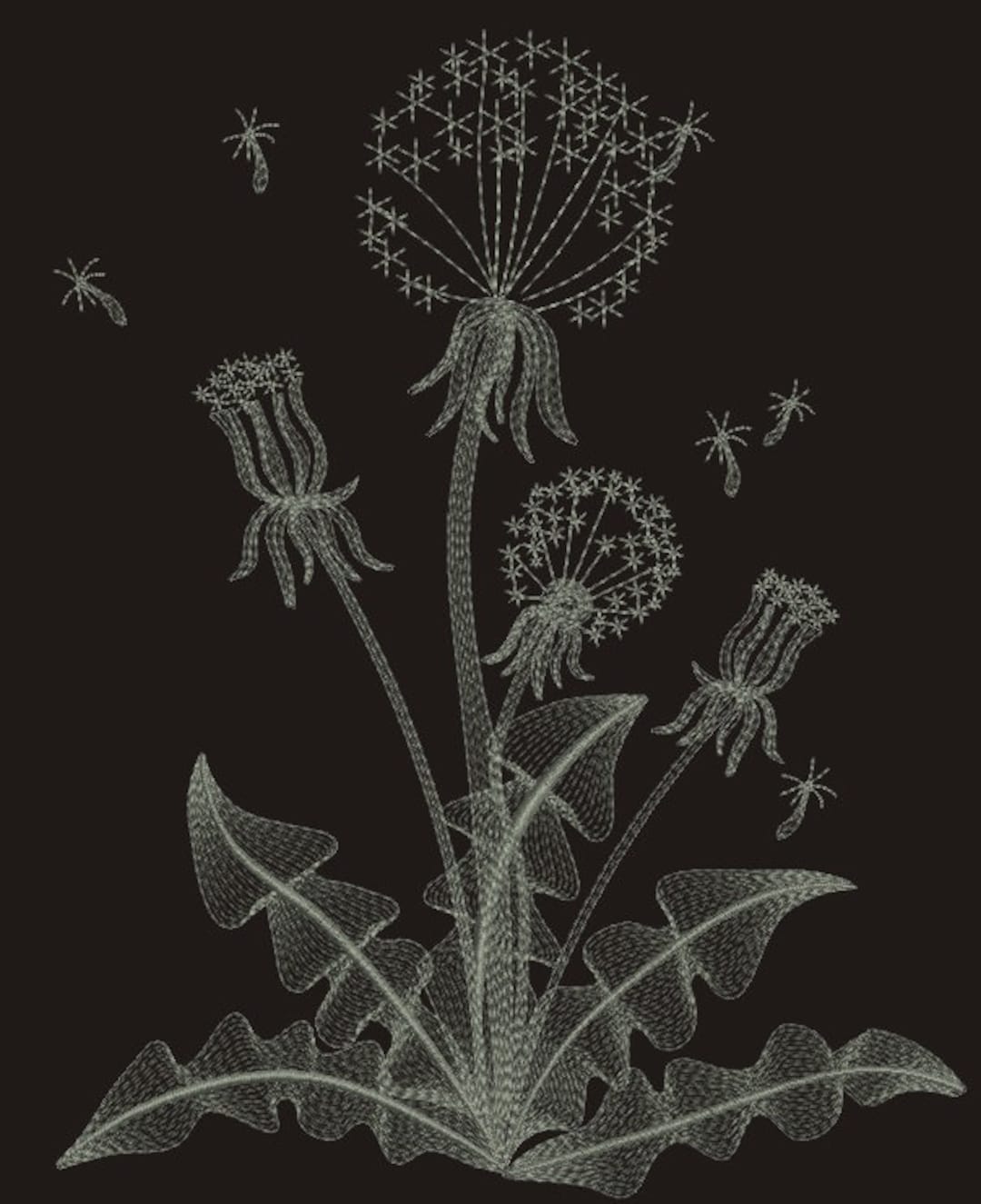 Dandelion Machine Embroidery Designs Three Sizes Etsy