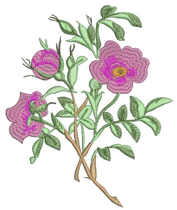 Rosehips  wild rose embroidery machine embroidery design a  etsy