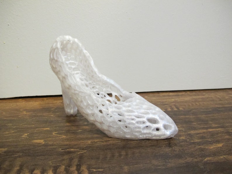 Succulent Shoe Plant Holder