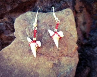 Shark Tooth Earrings, Red Wire Wrapped Shark Tooth Earrings
