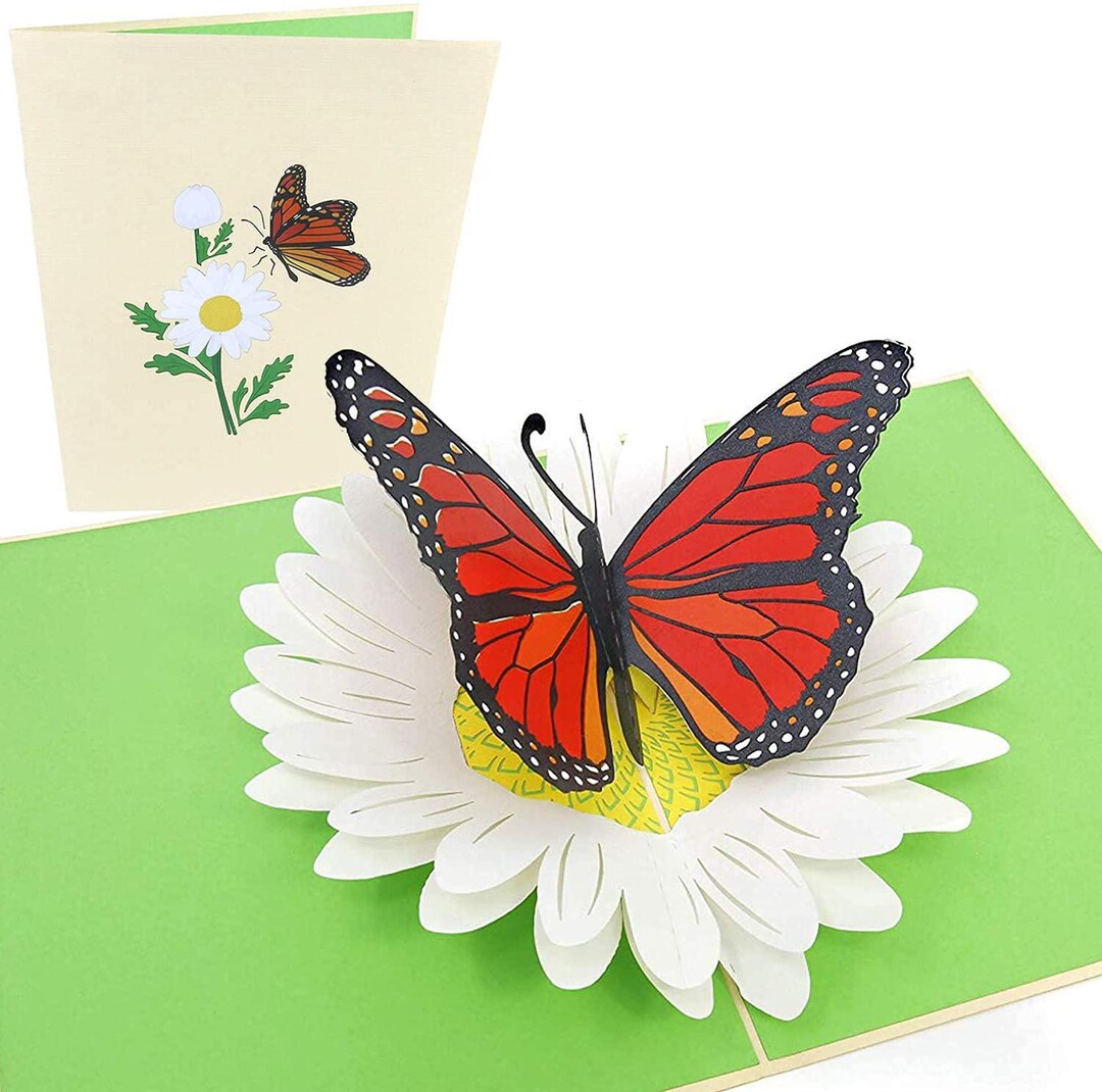 Monarch Butterfly & Daisy Pop up Card - Etsy