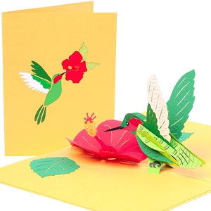 Hummingbird and Hibiscus Pop Up Card