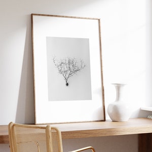Black and White Printable Art, Modern Wall Decor, Minimalist Botanical Photo, Scandinavian Wall Decor, Dried Plant, THORN BUSH/02 Art Print