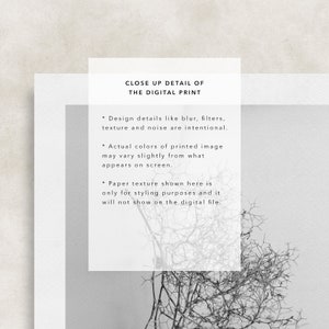 Black and White Printable Art, Modern Wall Decor, Minimalist Botanical ...