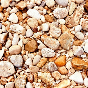 Colorado River Rocks