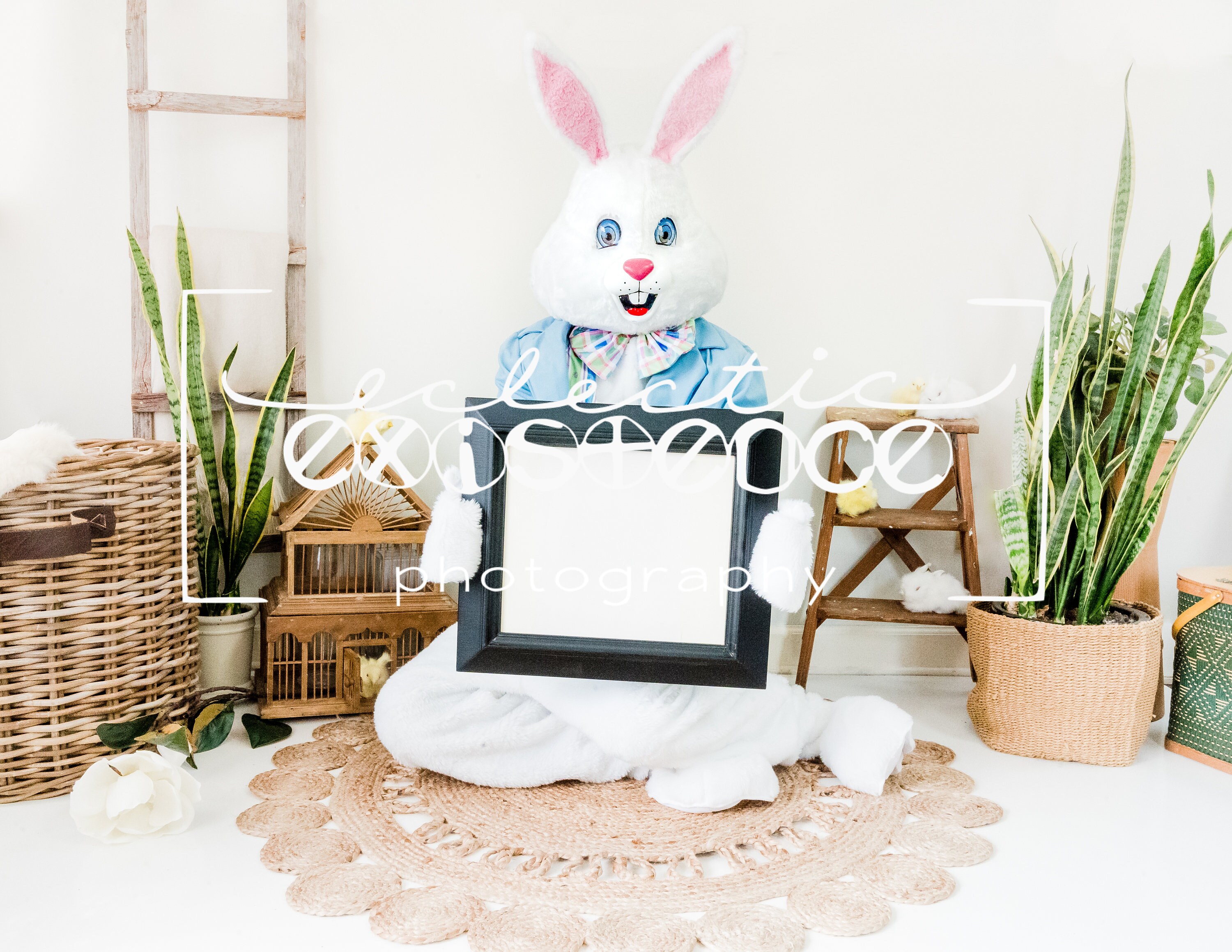 4 Easter Bunny With Frame Digital Backgrounds - Etsy Australia