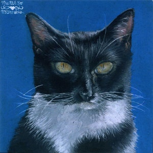 Arwen: Ojos de verano - tarjeta de felicitación, interior en blanco