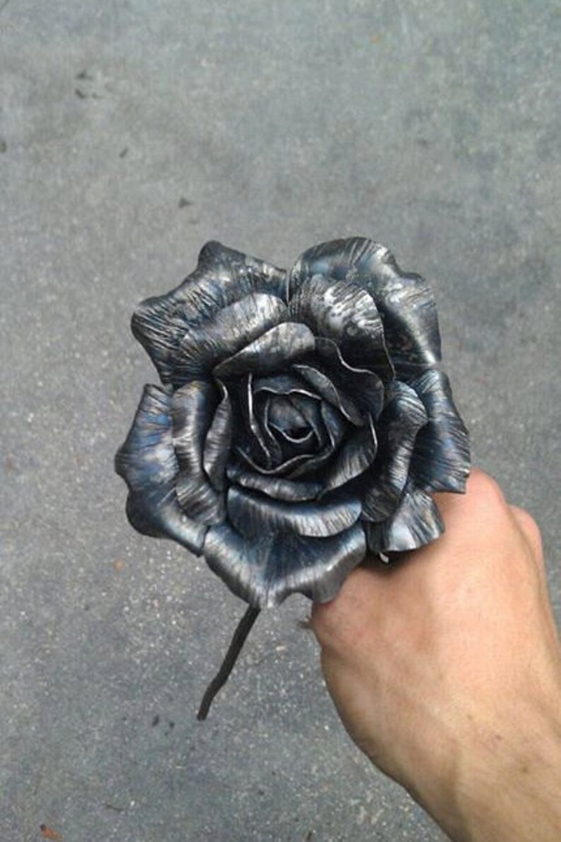 anvil rose anvil rose