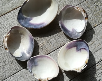 Quahog Clam Shells | Wampum | Purple Shell | Seashells | Bulk Quahog Shells | Bulk Seashells | Craft Supply | Shell | Wampum Sea Shells