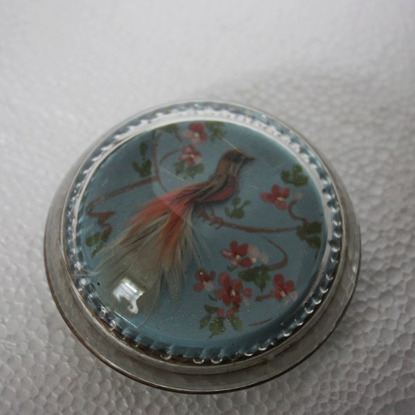 Rare Beautiful Vintage 1920s Paperweight Peacock Real Feathers Handpainted Background