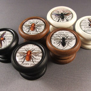 May include: Five decorative cabinet knobs with a vintage aesthetic. Each knob features a different bee illustration on a white background with text in various languages. The knobs are mounted on different coloured bases: black, brown and white.