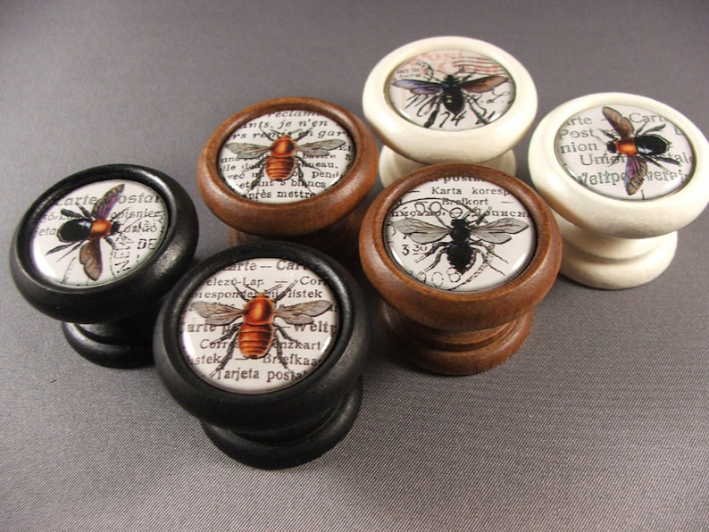 Op de afbeelding: Vijf decoratieve kastknoppen met een vintage uitstraling. Elke knop heeft een andere bij-illustratie op een witte achtergrond met tekst in verschillende talen. De knoppen zijn gemonteerd op verschillende gekleurde bases: zwart, bruin en wit.