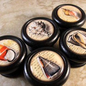 Peut inclure: Ensemble de six boutons noirs avec des motifs de coquillages blancs et crème sur le dessus. Chaque bouton présente un coquillage différent sur un fond vintage.
