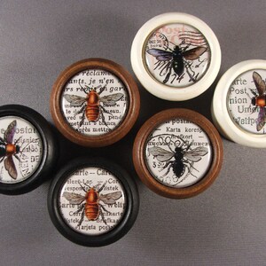 Op de afbeelding: Zes ronde houten en witte knoppen met zwarte en bruine bijenillustraties en vintage tekst. De tekst bevat woorden als "Carte Postale", "Karta koresp", "Post", "Union", "Weltpost" en "r&eacute;clames".