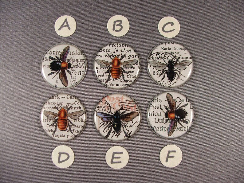 Op de afbeelding: Zes ronde glazen cabochons met zilveren instellingen, elk met een andere vintage-bijillustratie op een achtergrond van oude tekst. De bijen zijn zwart, bruin en oranje met witte accenten.