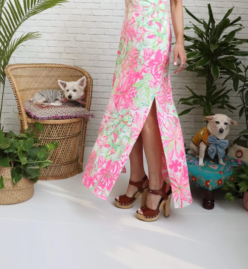 Lilly Pulizter Resort Maxi Dress | Small US 4 | Pink Green Gold Embroidered Soutache image 10