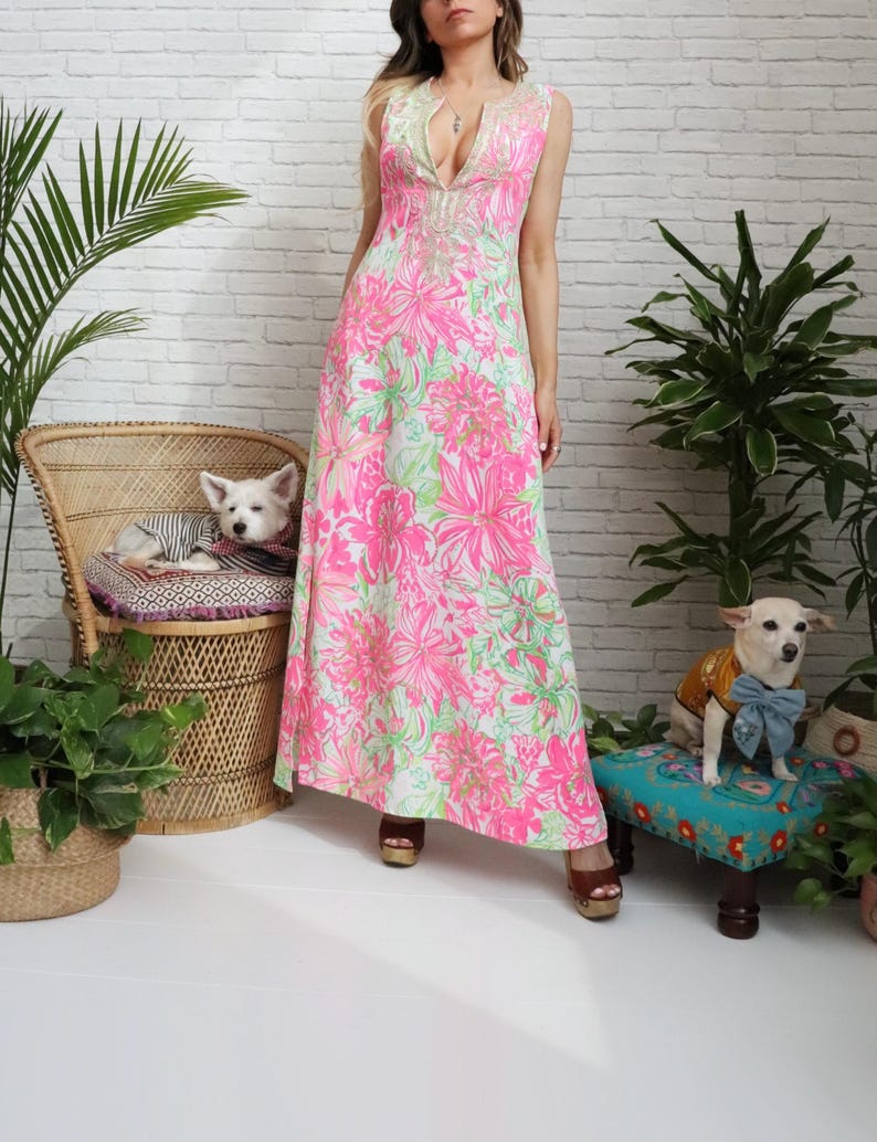 Lilly Pulizter Resort Maxi Dress | Small US 4 | Pink Green Gold Embroidered Soutache image 1