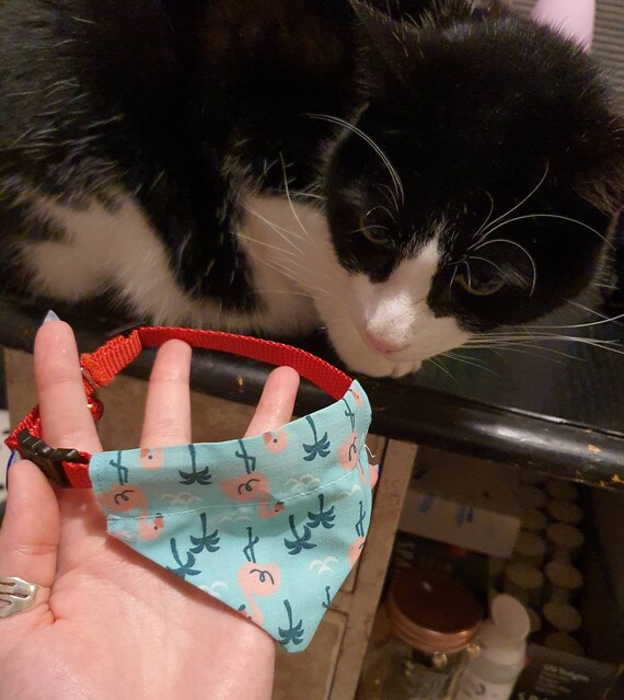 Cat Collar Bandana Various Designs Etsy