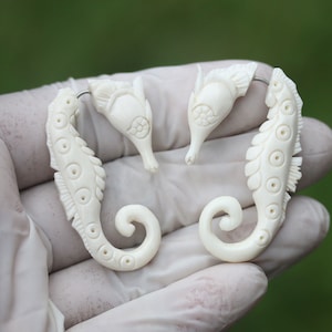 May include: A pair of white bone earrings shaped like seahorses. The earrings are detailed with intricate carvings and have a silver hook.