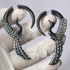 Op de afbeelding: Een paar zwarte pauwoorbellen met witte stipdetails. De oorbellen hebben een gebogen ontwerp met een pauwsilhouet, met de nadruk op de staartveren van de vogel. De oorbellen worden vastgehouden door een gehandschoende hand.