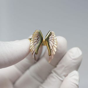Op de afbeelding: Een gouden ring met twee vleugels, één aan elke kant. De vleugels zijn gemaakt van gelaagd metaal, met een gouden basis en een zilveren bovenkant.