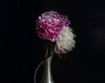 Photograph on Fine Art Paper - Peonies in Pewter Vase