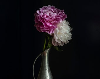Photograph on Canvas - Peonies in Pewter Vase