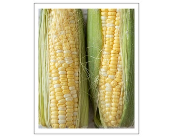 Ears of Corn, Digital Photograph on Fine Art Paper