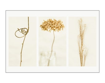 Photograph on Fine Art Paper - Speak Well of the Dead, Triptych 2