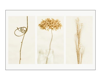 Speak Well of the Dead, Triptych 2, Digital Photograph on Fine Art Paper