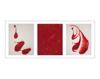 Raspberry Abstract - Digital Photography on Acrylic
