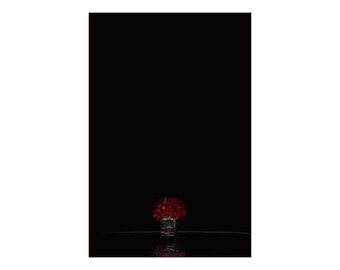 Red Chrysanthemum on Black, Digital Photograph on Fine Art Paper
