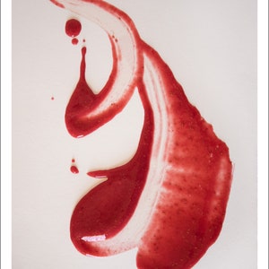 Raspberry Puree: Paint 2 Digital Photograph on Fine Art Paper image 2