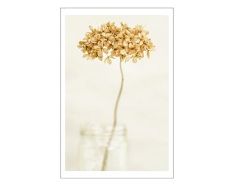 Hydrangea - Digital Photography on Bamboo