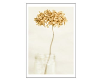 Photograph on Fine Art Paper - Hydrangea