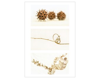 Photograph on Fine Art Paper - Speak Well of the Dead, Triptych 1