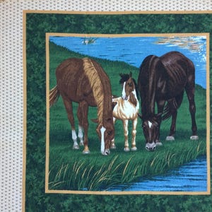 May include: Three horses standing in a grassy field near a stream. The horses are brown, white, and black. The brown horse is on the left, the white horse is in the middle, and the black horse is on the right.
