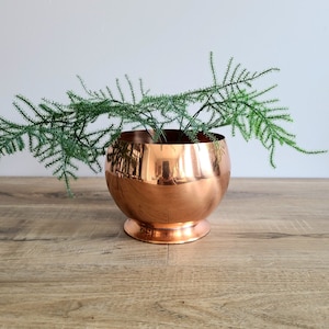 May include: A copper planter with a wide, rounded base and a shiny, reflective surface. A green plant with long, thin leaves is inside the planter.