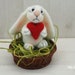 see more listings in the Bunnies, sheep section