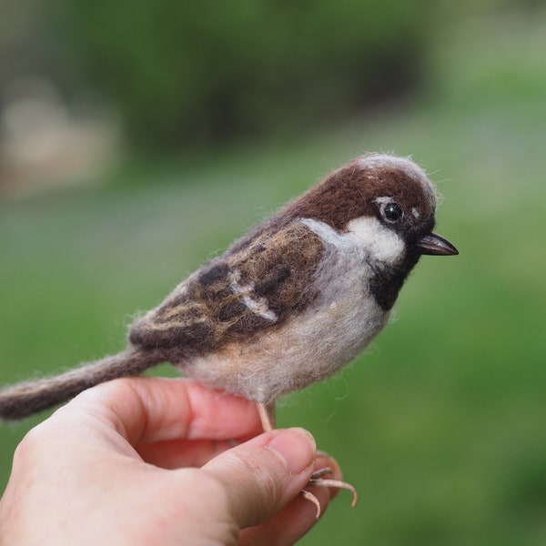 Nadel gefilzter Haussperling, gefilzter Vogel, realistische Vogel Figur, gefilztes Tier, Geschenk für Vogelliebhaber, Vogel Ornament, Vogel Ornament