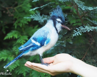 Needle felted realistic Blue jay bird, Blue jay art, realistic animals, realistic bird, faux taxidermy bird, gift for bird lover, bird decor