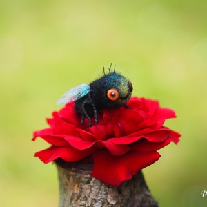 Felted fly, fly girl, insect art, insect decor, fly figurine, cute gift idea, small gifts, cute little gifts, felt animals